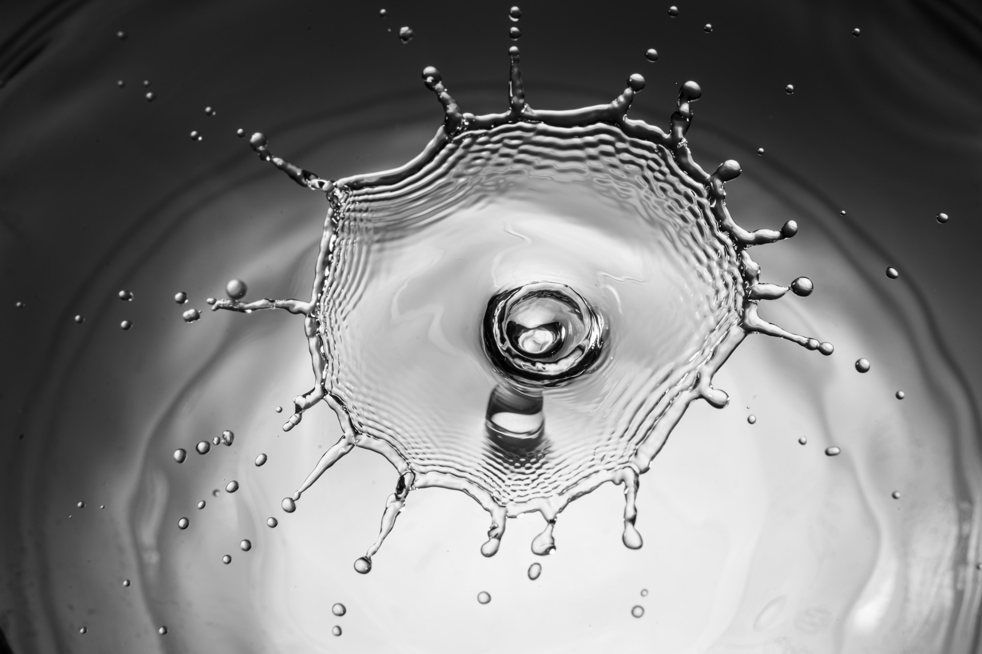 24 P Splash_Rainer Kienberger